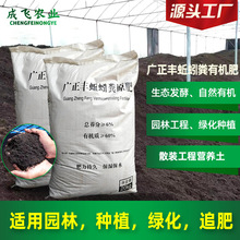 黑土沃野 樹木種植經(jīng)營(yíng)的可持續(xù)之路